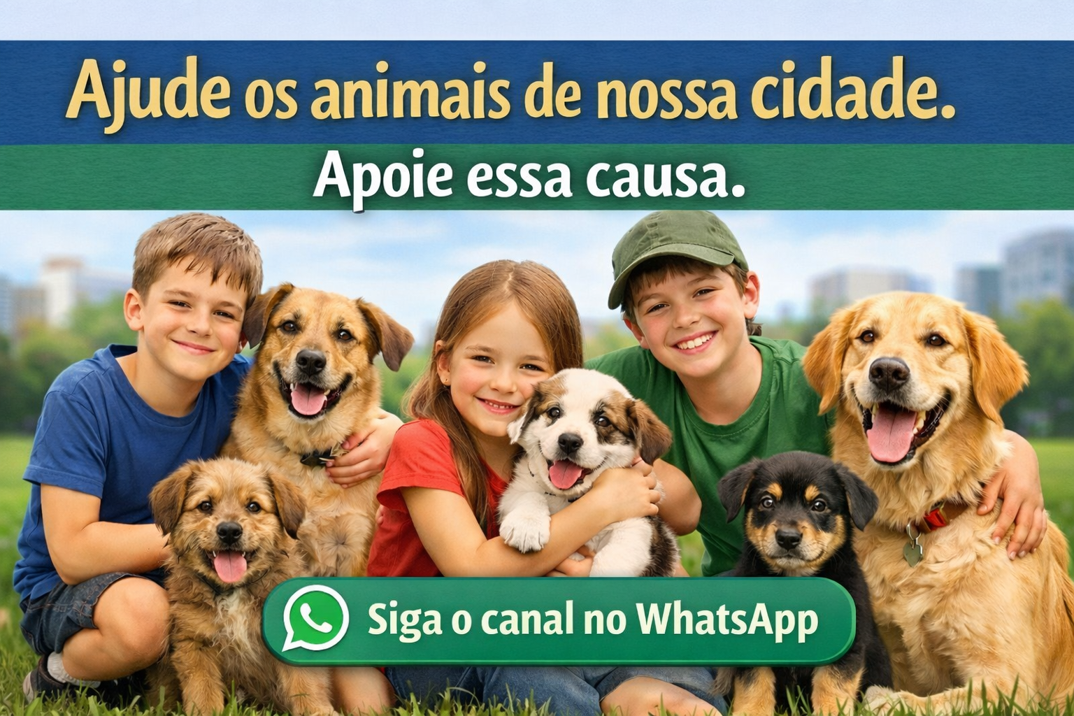 Canal do WhatsApp